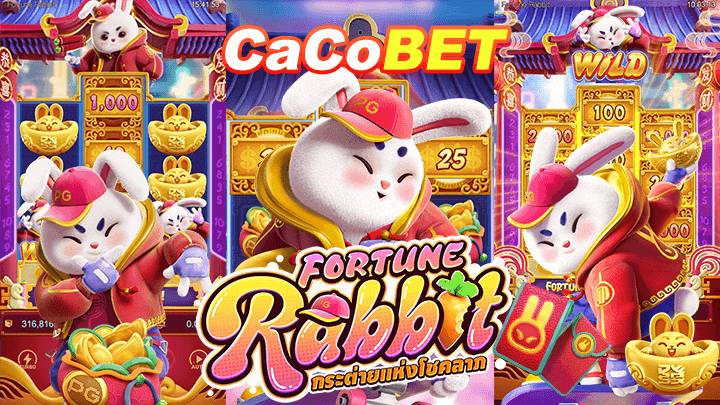 Kokobet App Interface Schermafbeelding